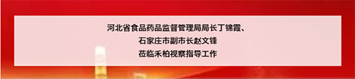 ?河北省食品藥品監(jiān)督管理局局長丁錦霞、 石家莊市副市長趙文鋒 蒞臨禾柏視察指導(dǎo)工作