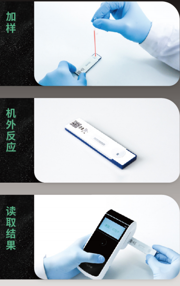 快檢利器：禾柏新品系列之PalmF