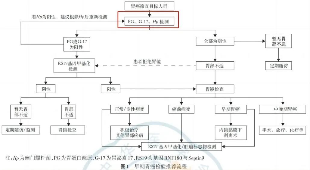新平臺(tái) 新項(xiàng)目——禾柏胃泌素17上市