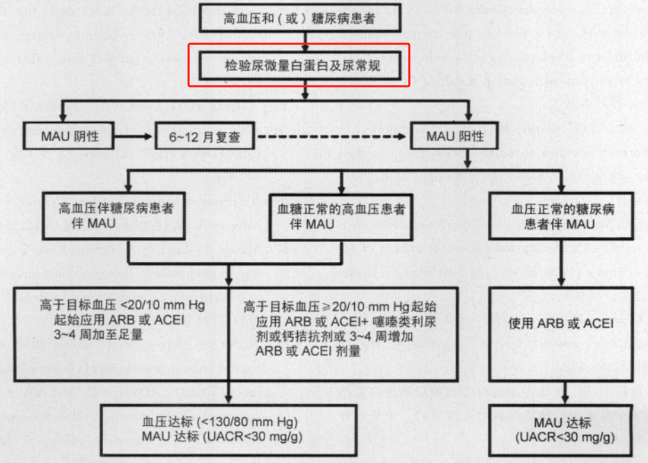 尿微量白蛋白臨床意義全解讀