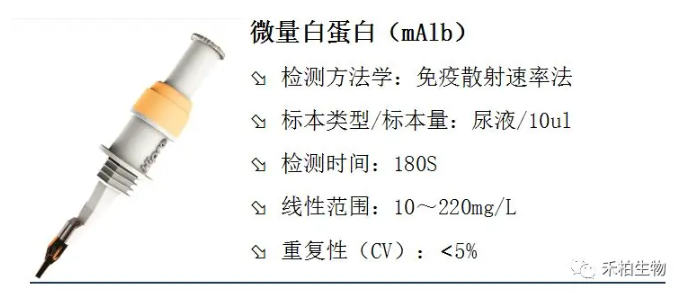 尿微量白蛋白臨床意義全解讀