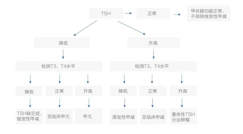 新平臺(tái) 新項(xiàng)目——禾柏甲功三項(xiàng)介紹